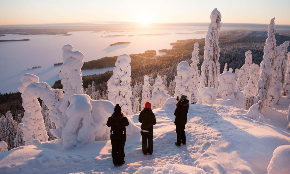 Koli kansallispuisto talvella